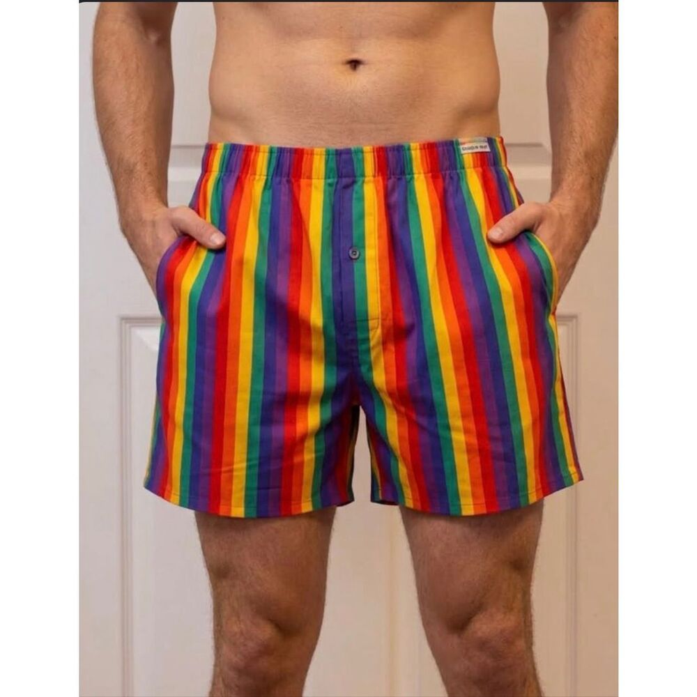Vintage Rainbow Patterned Shorts